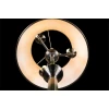 Торшер Arte Lamp Alice A3579PN-3AB