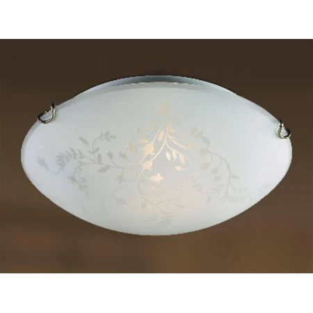 Потолочный светильник Sonex Kusta 218