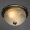 Потолочный светильник Arte Lamp 16 A1305PL-2AB